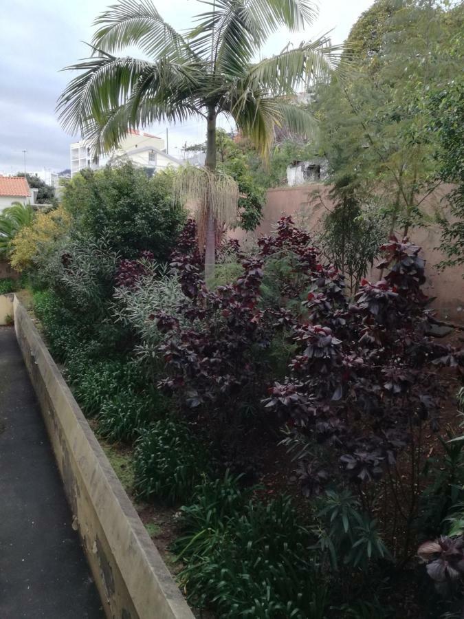 Appartamento Madeira Funchal Gardens Esterno foto